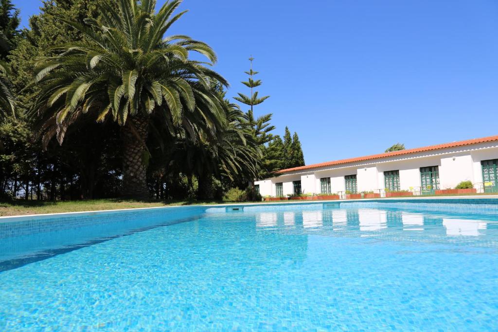 una gran piscina con palmeras y un edificio en Flag Hotel Santarém, en Pernes