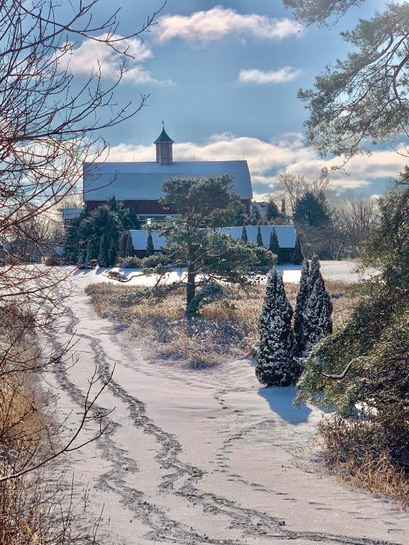 The Eddie Hotel and Farm in de winter