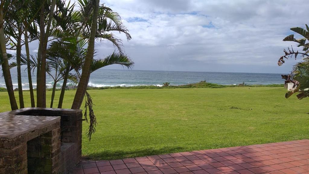 un parc avec un palmier et l'océan dans l'établissement 10 Seaverge, à Port Edward