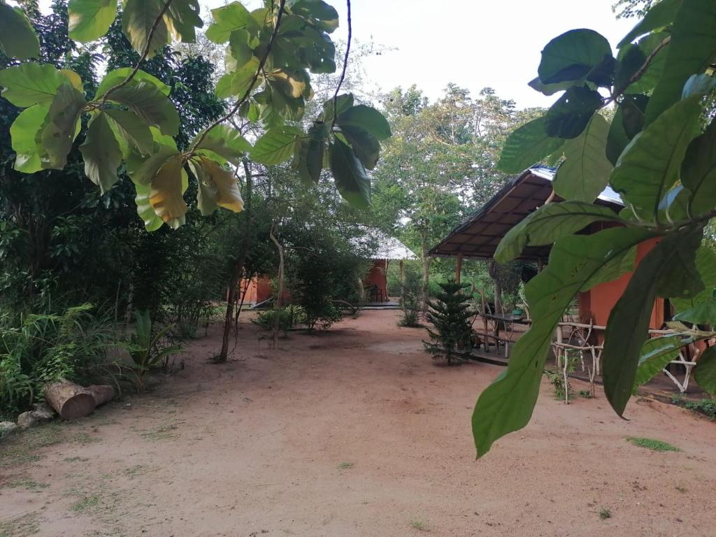 Zahrada ubytování කැලෑව Jungle Eco Resort