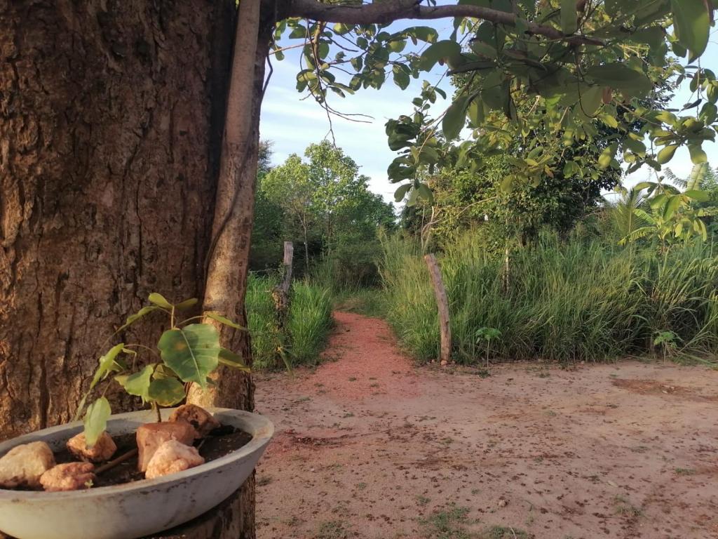 Zahrada ubytování කැලෑව Jungle Eco Resort