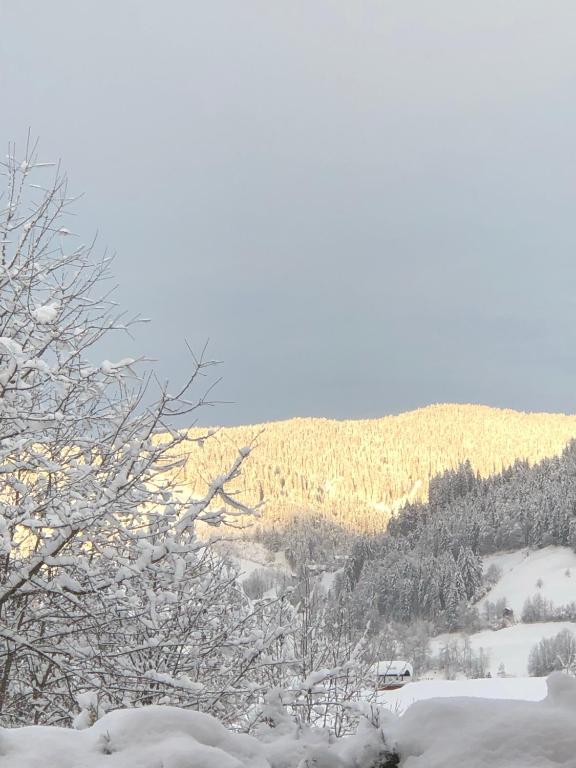 Príroda v okolí penziónu
