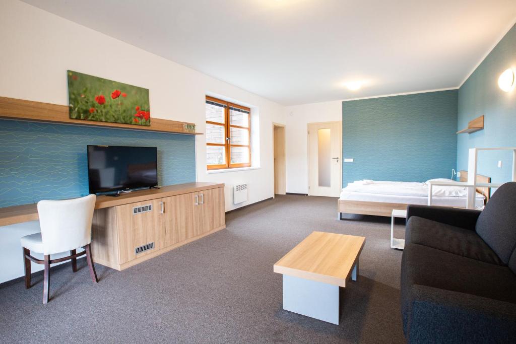 TV a/nebo společenská místnost v ubytování Wellness Hotel Říčky
