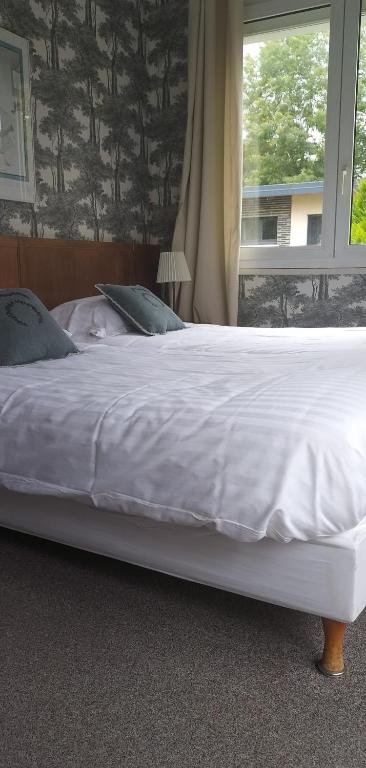Postel nebo postele na pokoji v ubytování Hotel Le Rivage