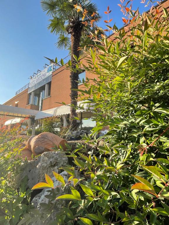 Zahrada ubytování Hotel Gardenia Fiera