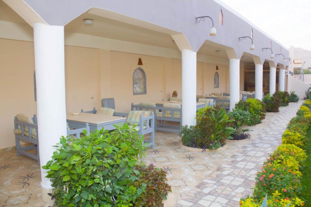 Zahrada ubytování Janat Elsahara Hotel
