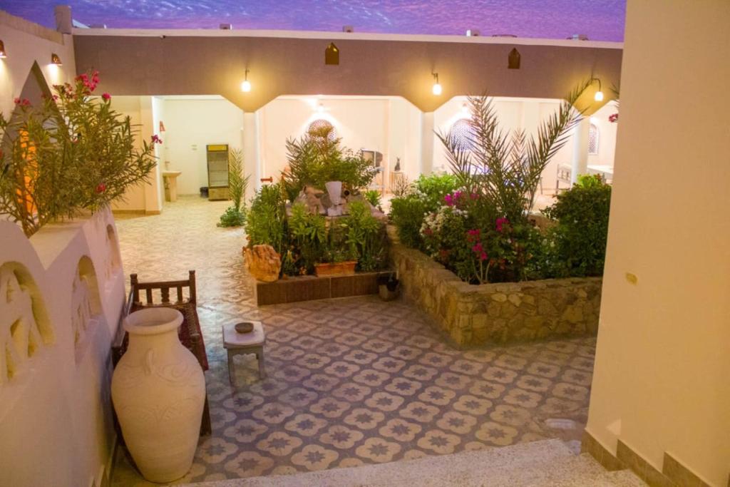 Zahrada ubytování Janat Elsahara Hotel