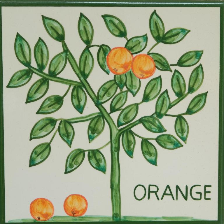 a drawing of a orange tree with three oranges at Casa Monte Cristo Apartments - Orange in Lagos