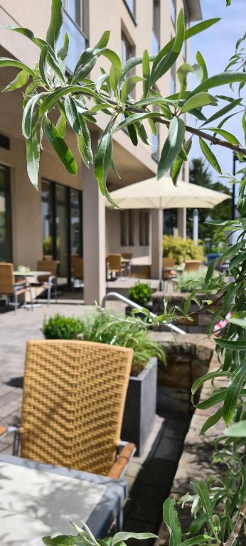 Fotografie z fotogalerie ubytování Hotel Aspethera v destinaci Paderborn