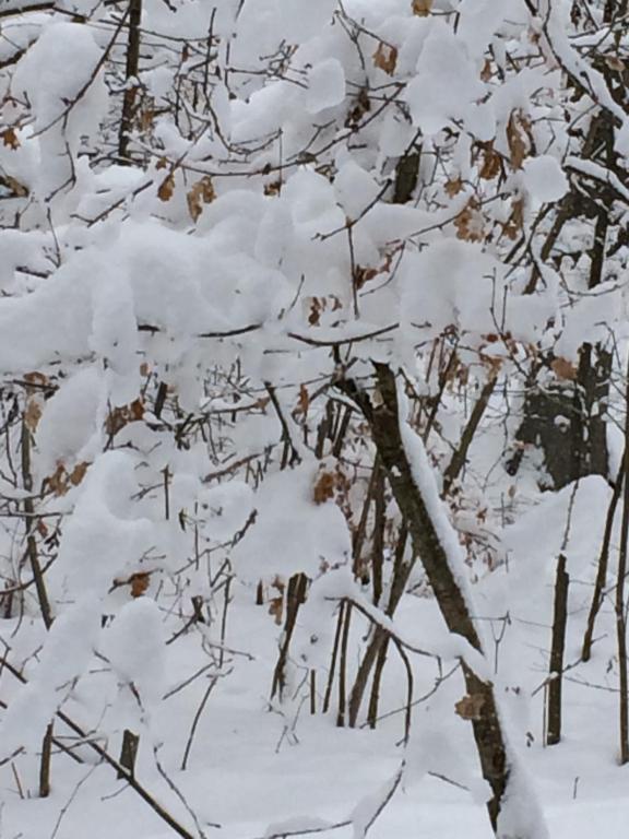 Seevilla Annenheim during the winter