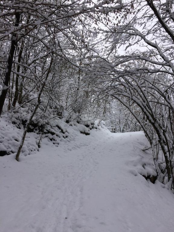Seevilla Annenheim during the winter