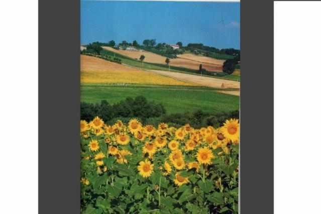 Fotografia z galérie ubytovania CASA LELLA Monte San Pietrangeli v destinácii Monte San Pietrangeli