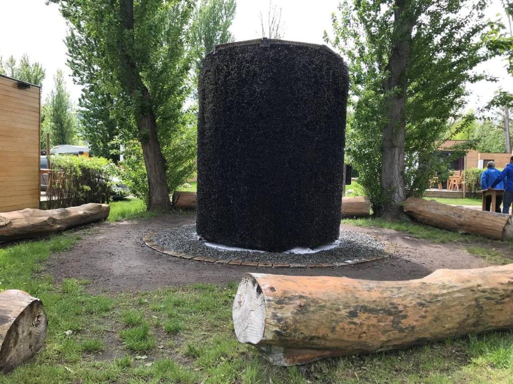 a water fountain in the middle of a park with trees at Sopot 34 przy plaży in Sopot