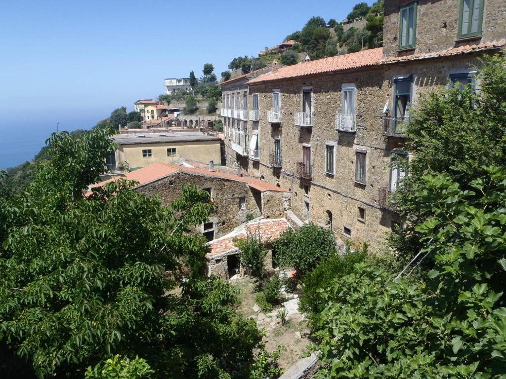 un gruppo di edifici su una collina alberata di Palazzo Pisani Residenza Storica Pollica a Pollica