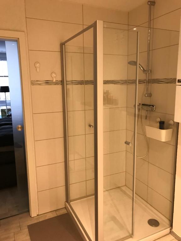 バート・ハルツブルクにあるFewo Tiewesのバスルーム(ガラスドア付きのシャワー付)