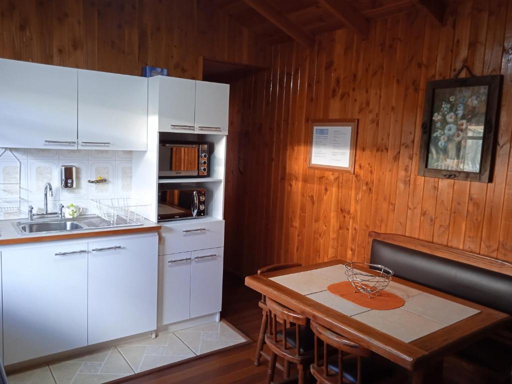 Kuchyň nebo kuchyňský kout v ubytování Hostal Mahuida