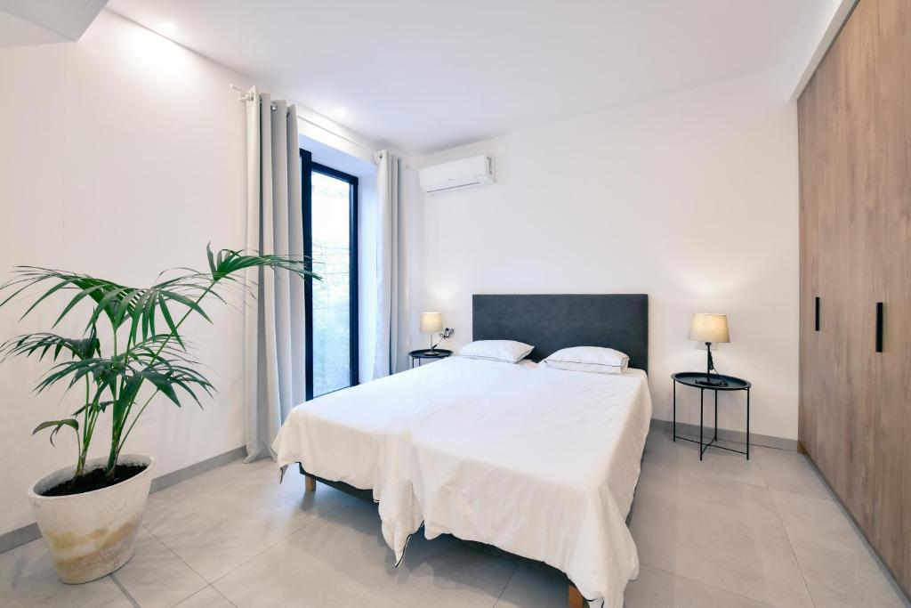 Collective Urban Villa in Tirana - Image 7