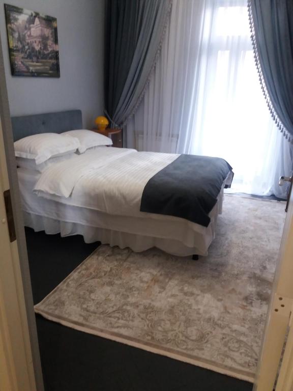 a bedroom with a bed and a window at Apartment u Lidii in center of Kiev near railways station in Kyiv