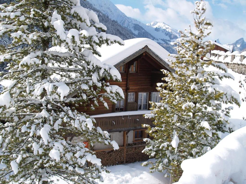 a log cabin in the snow with snow covered trees at Chalet Höfli by Interhome in Jaun