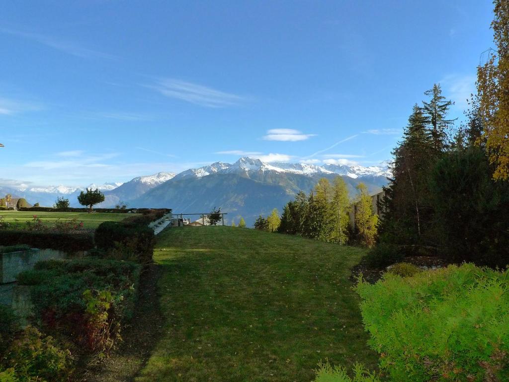 ein Grasfeld mit Bergen im Hintergrund in der Unterkunft Studio Terrasse des Alpes-33 by Interhome in Crans-Montana