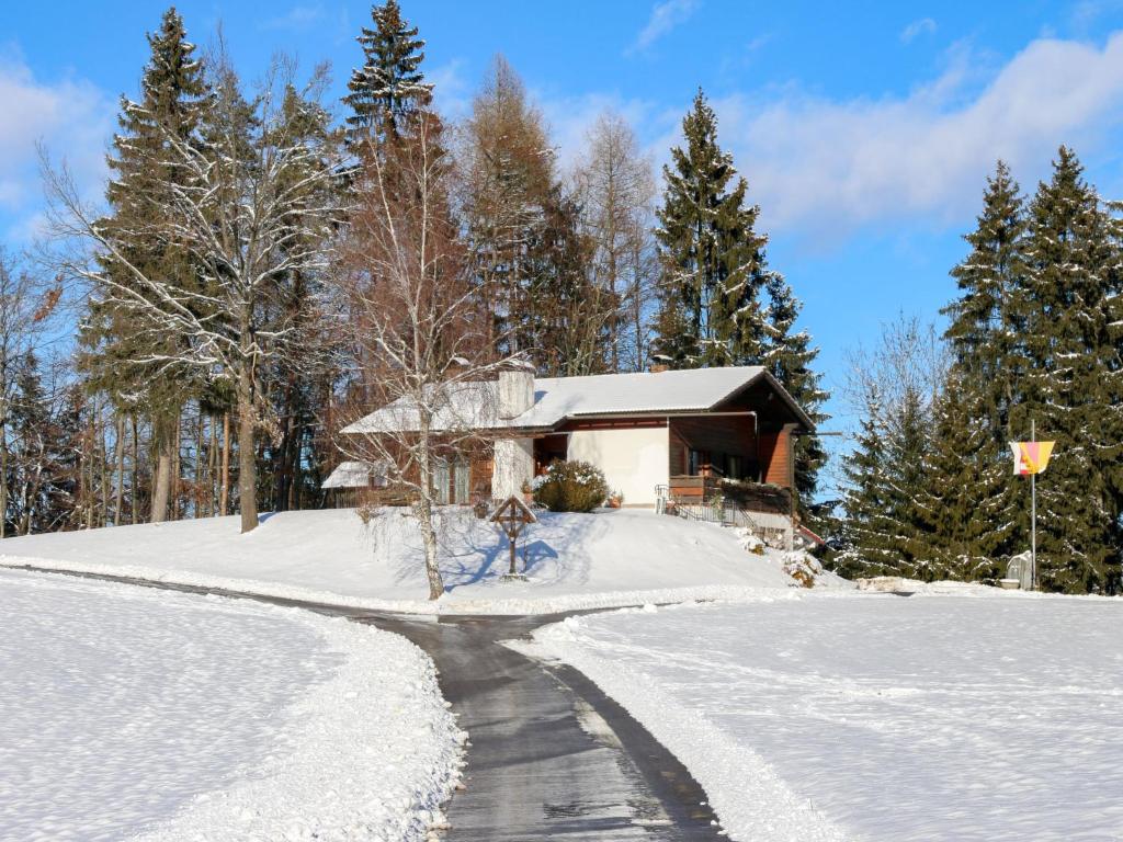 Holiday Home Rustika by Interhome v zimě