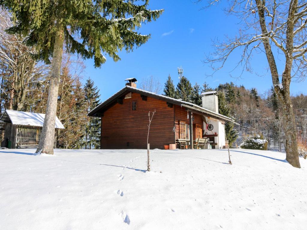 Holiday Home Rustika by Interhome v zimě