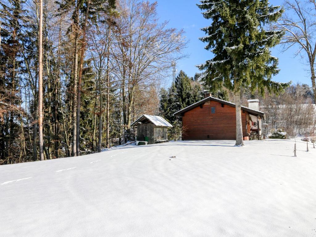 Holiday Home Rustika by Interhome v zimě