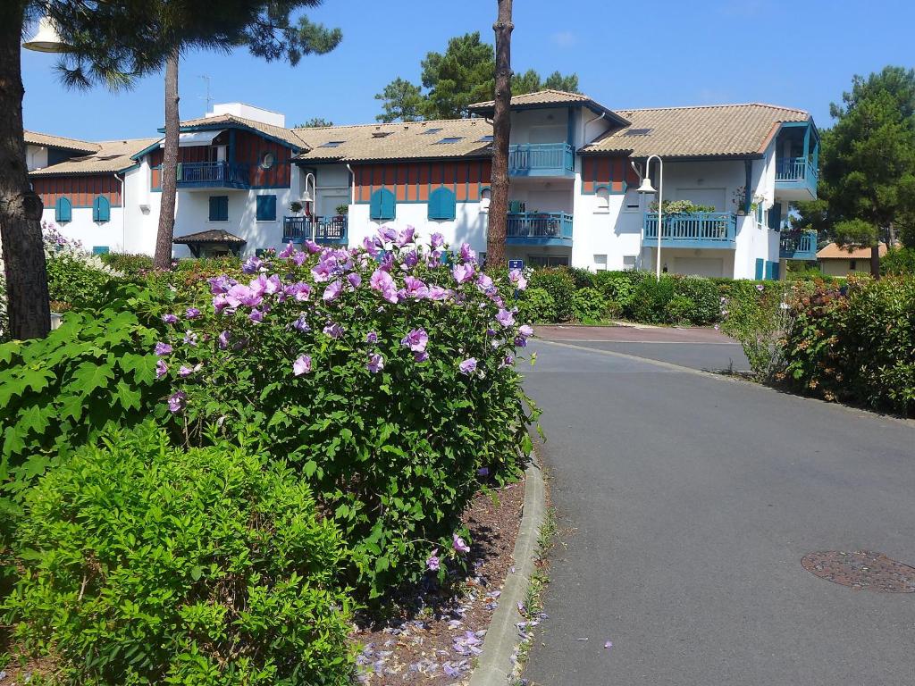 a street in front of a house with purple flowers at Apartment Les Berges Landaises-1 by Interhome in Soorts-Hossegor