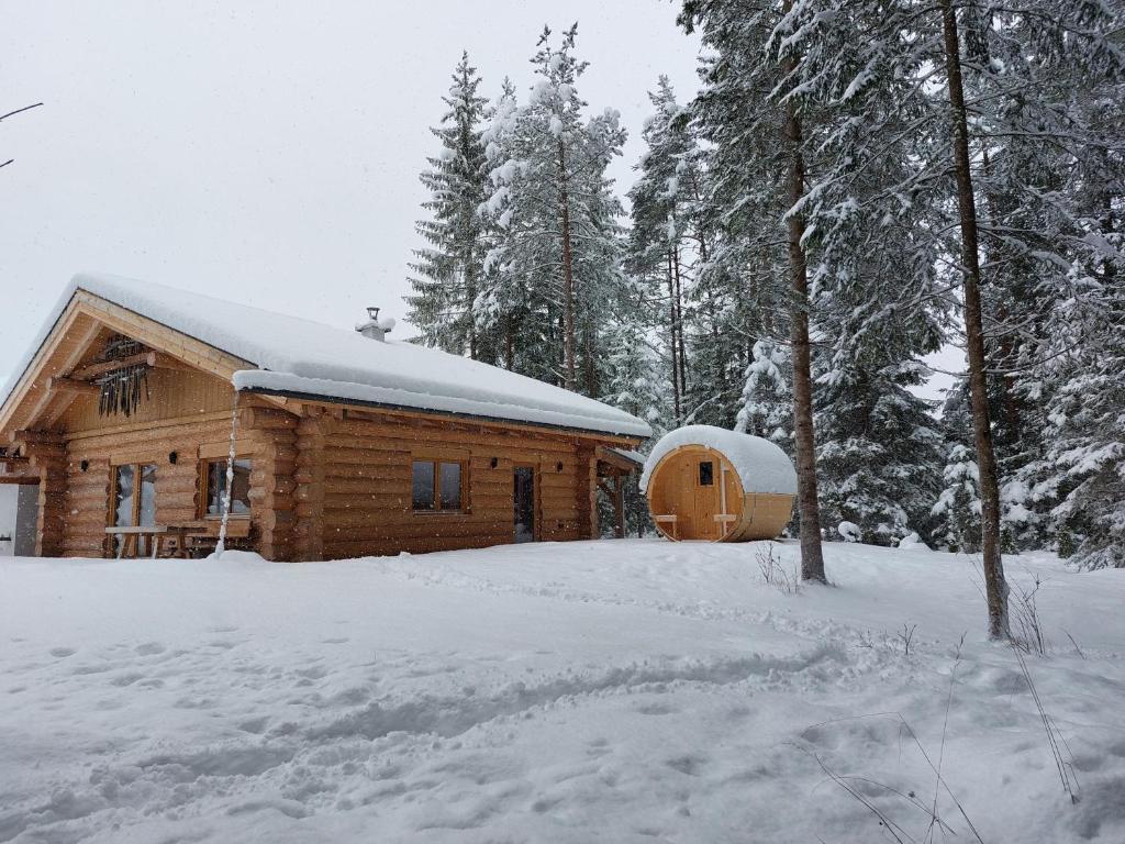 Ferienhaus - Chalet - Lechtraum talvel