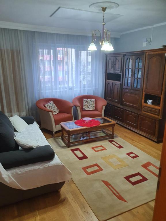 a living room with a couch and a coffee table at Apartament cu trei camere in Băile Herculane