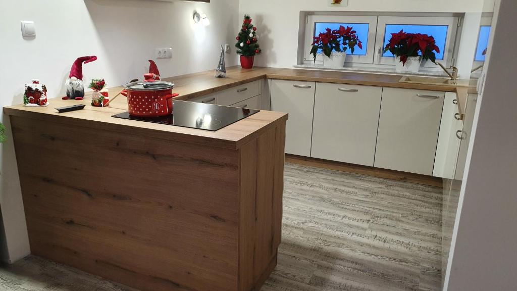 Kuchyň nebo kuchyňský kout v ubytování Apartments Akacijev Izvir