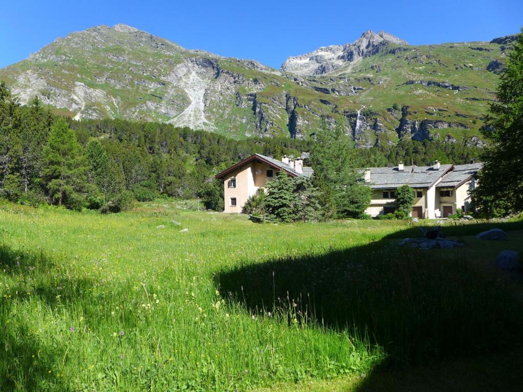Příroda nedaleko apartmánu