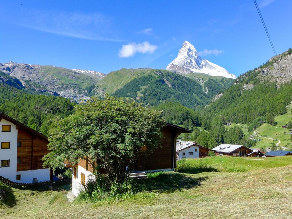 Příroda nedaleko apartmánu