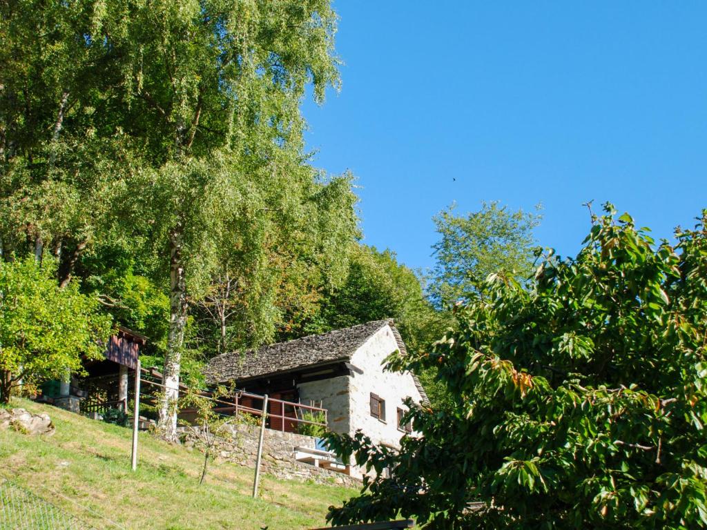 una casa en medio de un campo con árboles en Holiday Home Baita dal Gian al Pian by Interhome, en Acquarossa