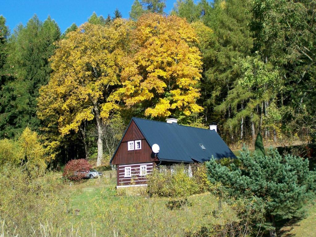 Mała czerwona stodoła w środku lasu w obiekcie Holiday Home Zdoňov by Interhome w mieście Teplice nad Metují