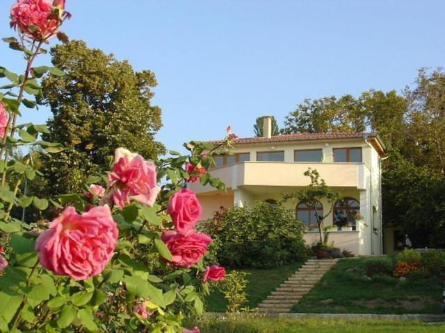 Κήπος έξω από το St.Nikola Holiday Home