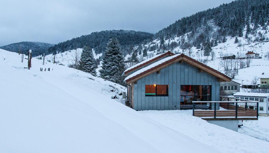 拉布雷斯的住宿－Chalet de standing 9P avec sauna & salle d'escalade，山中雪地中的小屋
