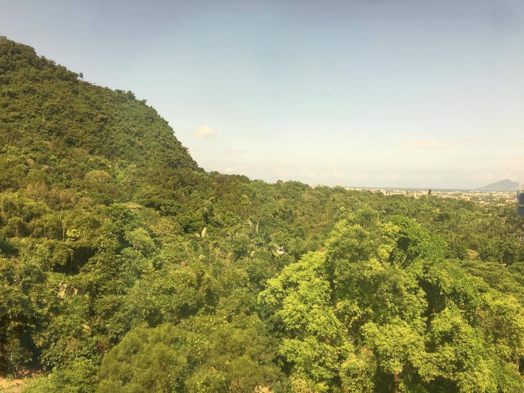 an overhead view of a forest of trees at 包棟礁溪景觀Villa 溫泉石缸泡腳池中島餐廳 in Jiaoxi