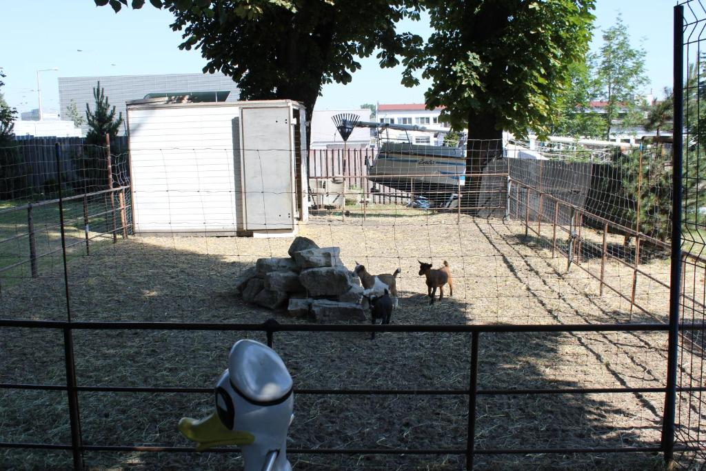 Hotel Corrado - Resim 32