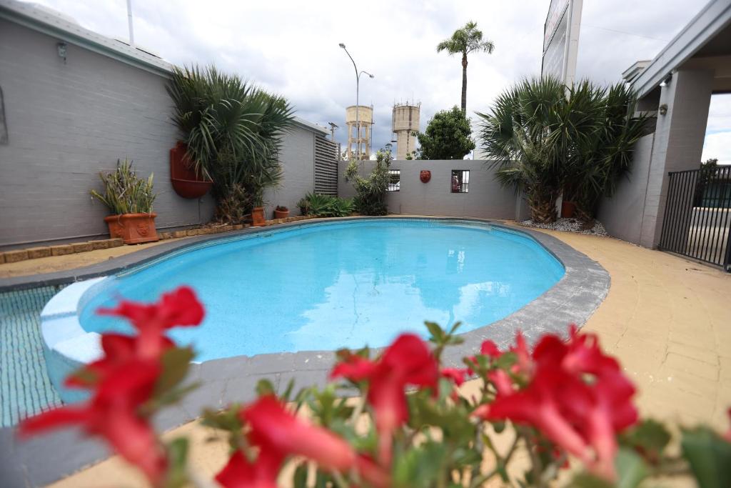 a swimming pool with red flowers in front of it at The Town House Motor Inn in Goondiwindi