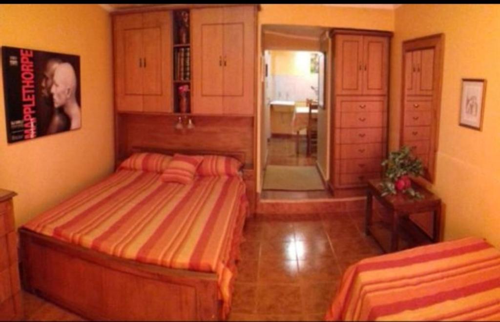 een slaapkamer met 2 bedden in een kamer bij LUIS MENDOZA in Mendoza
