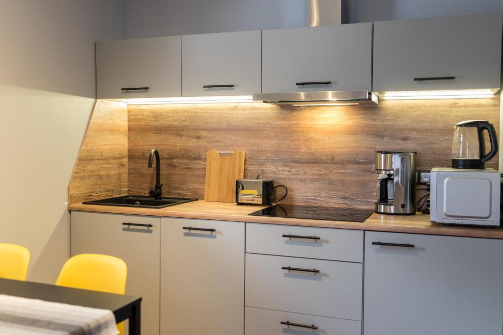 Kuchyňa alebo kuchynka v ubytovaní Apartament Henrykówka Apartzakop