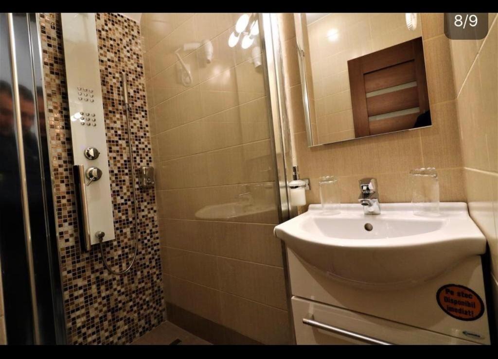 a bathroom with a sink and a shower at Smart studio sibiu in Sibiu