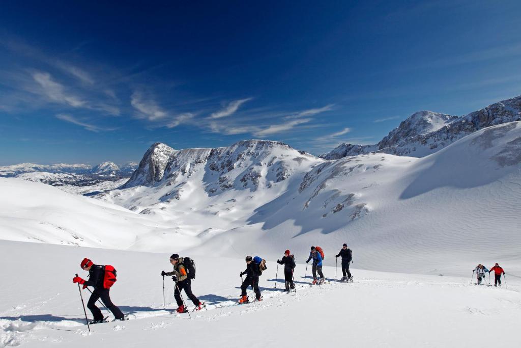 Alpenperle in de winter
