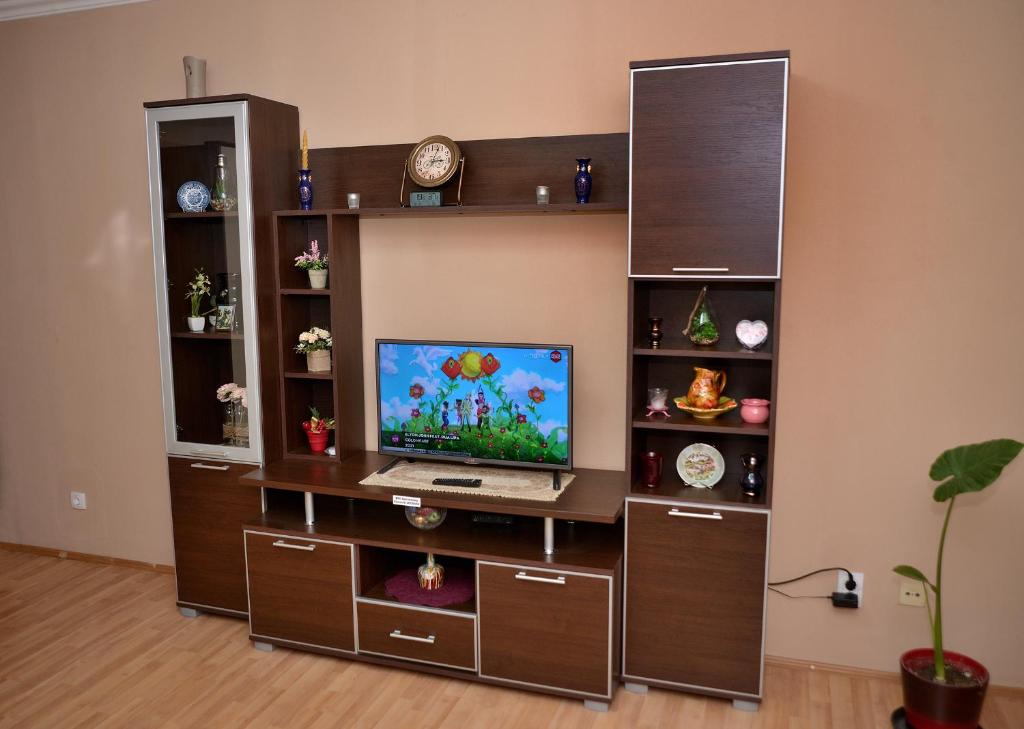 Μια τηλεόραση ή/και κέντρο ψυχαγωγίας στο Apartman ANA