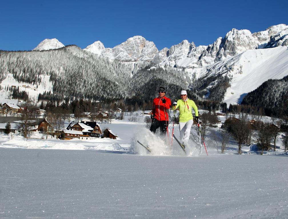 Alpenperle in de winter