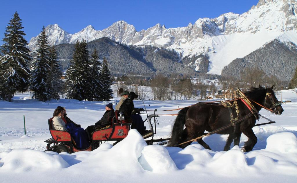 Alpenperle in de winter