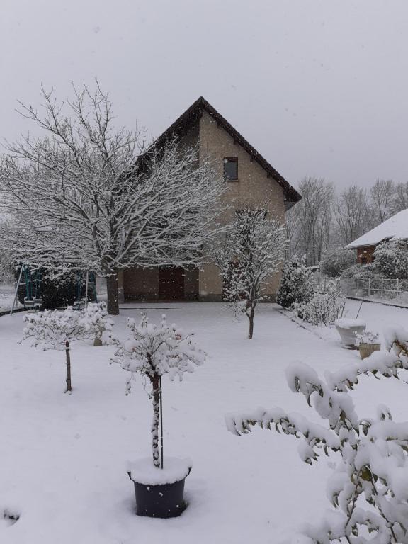 科爾的住宿－L'éloge de la Nature，一座被雪覆盖的院子,里面种着树木,还有房子