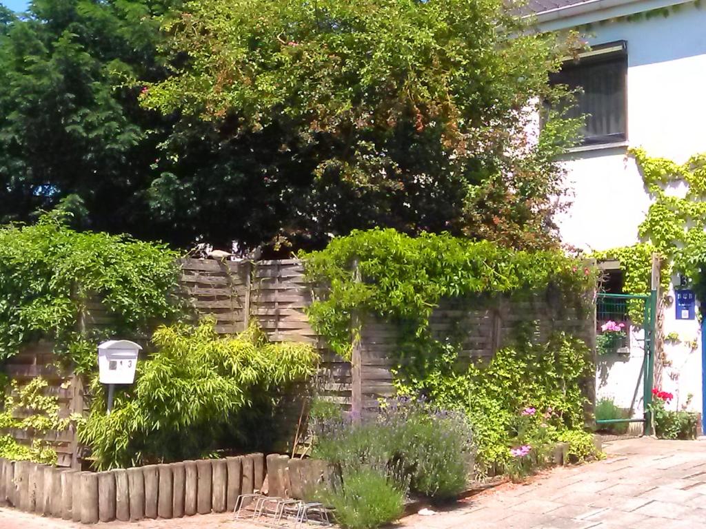 Zahrada ubytování Gastenkamers De Zonnepoort vzw