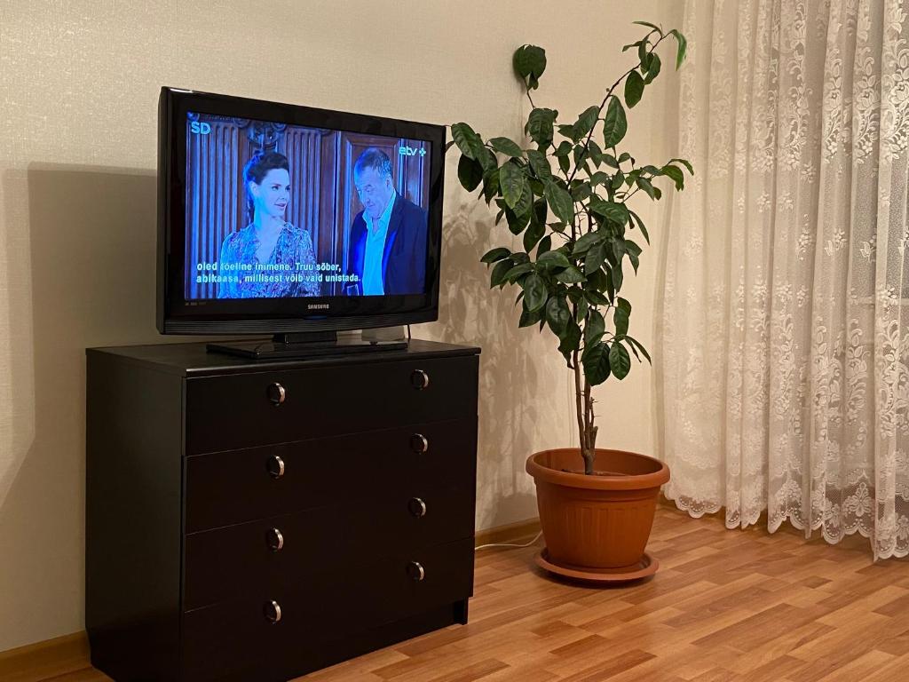 TV a/nebo společenská místnost v ubytování Apartments Anna